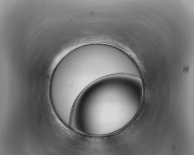 X0000090891512200707271027