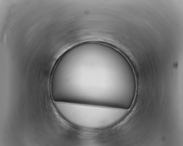 X0000090891513200707271027