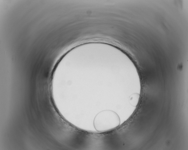 X0000090891514200707271027