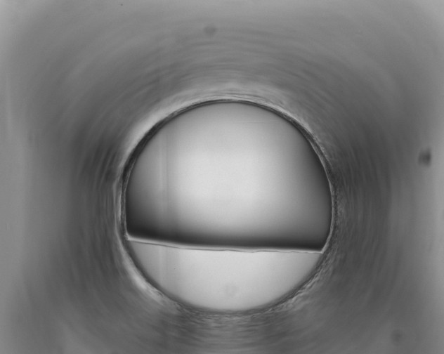 X0000090891515200707271027