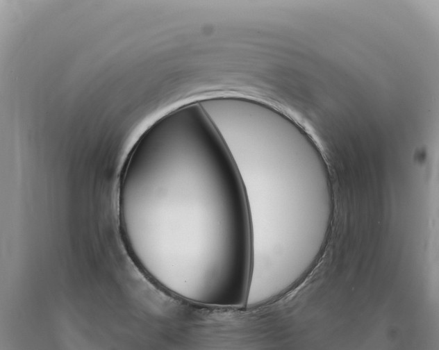 X0000090891516200707271027