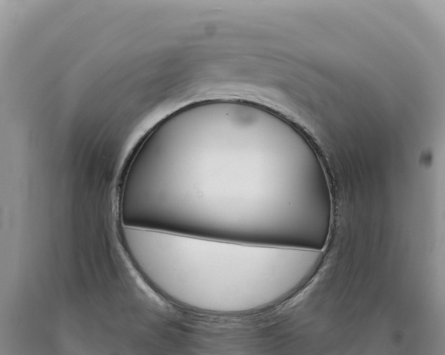 X0000090891517200707271027