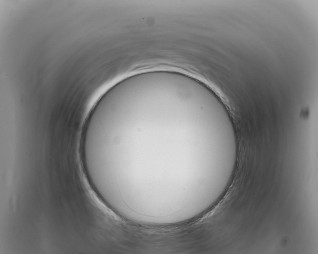 X0000090891518200707271027