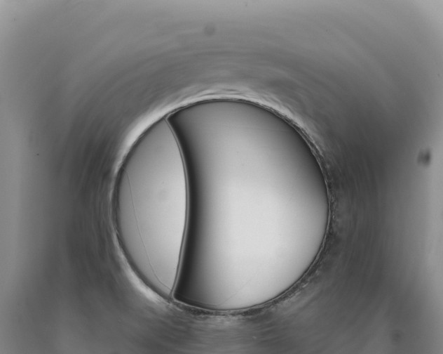X0000090891519200707271027