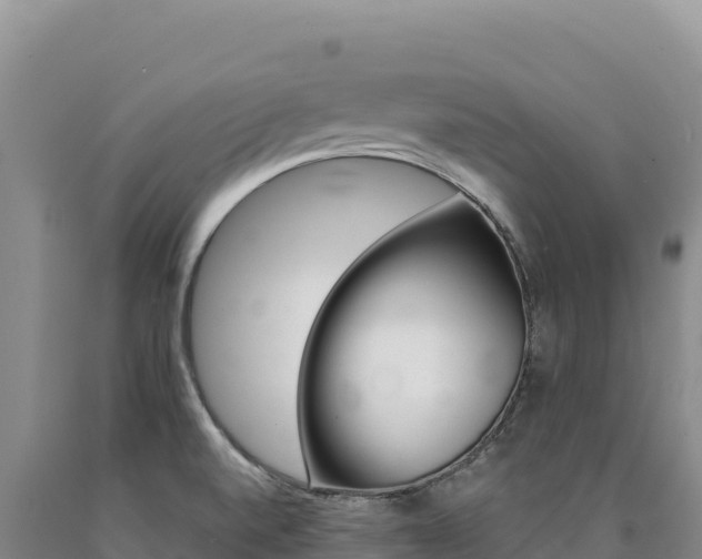 X0000090891520200707271027