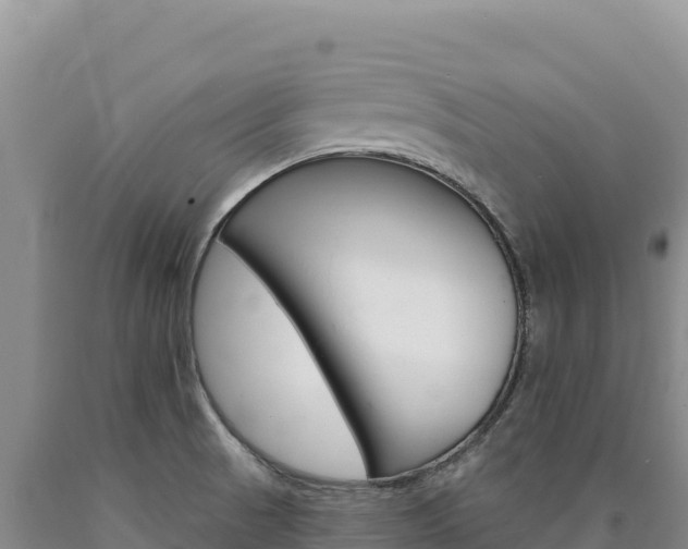 X0000090891521200707271027