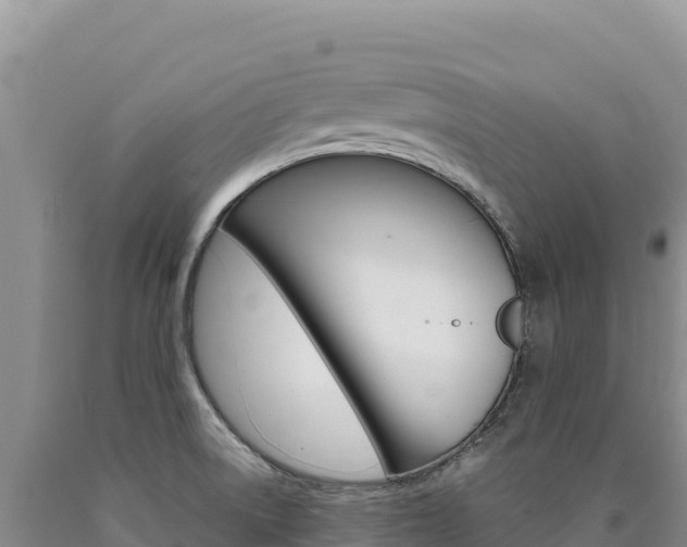 X0000090891522200707271027
