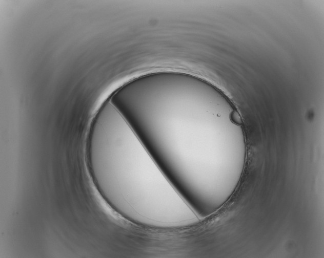 X0000090891523200707271027