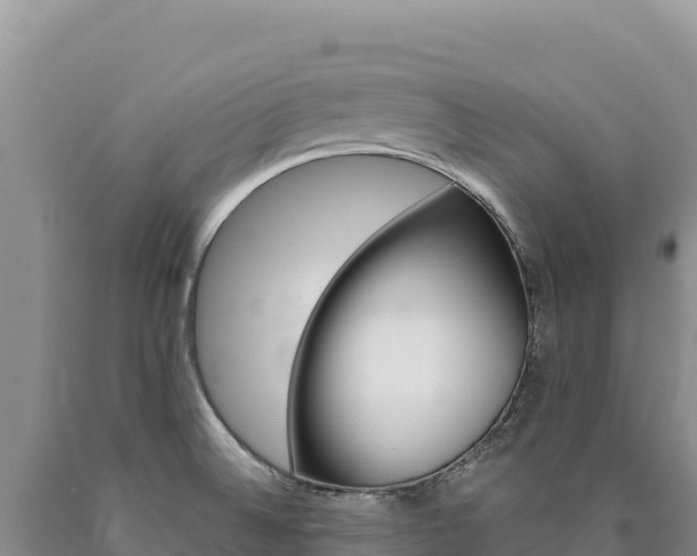 X0000090891524200707271027