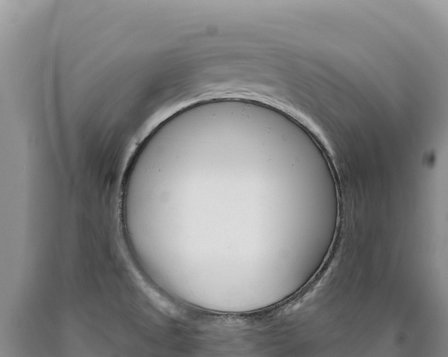 X0000090891525200707271027