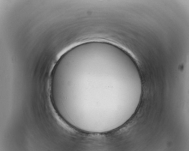 X0000090891526200707271027