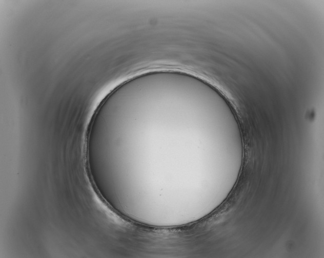 X0000090891527200707271027