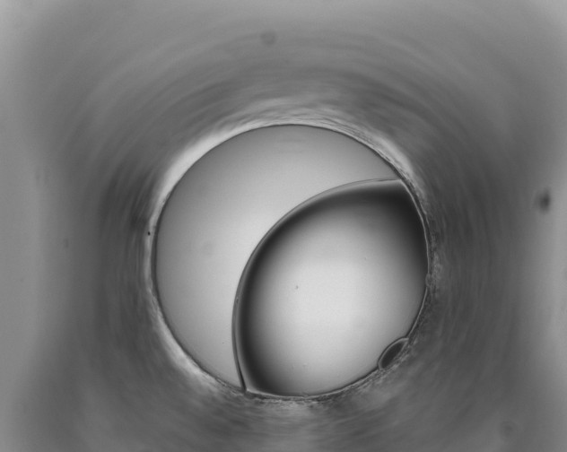 X0000090891528200707271027