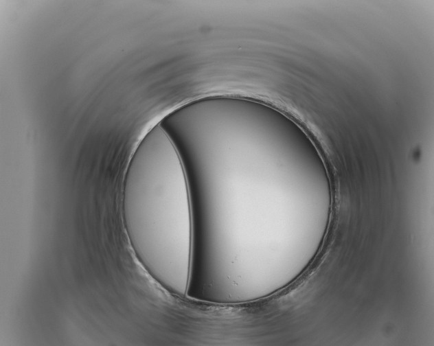 X0000090891529200707271027