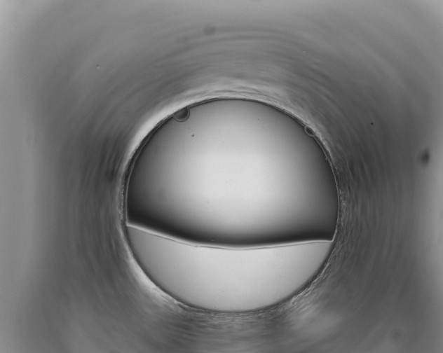 X0000090891531200707271027