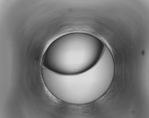 X0000090891532200707271028