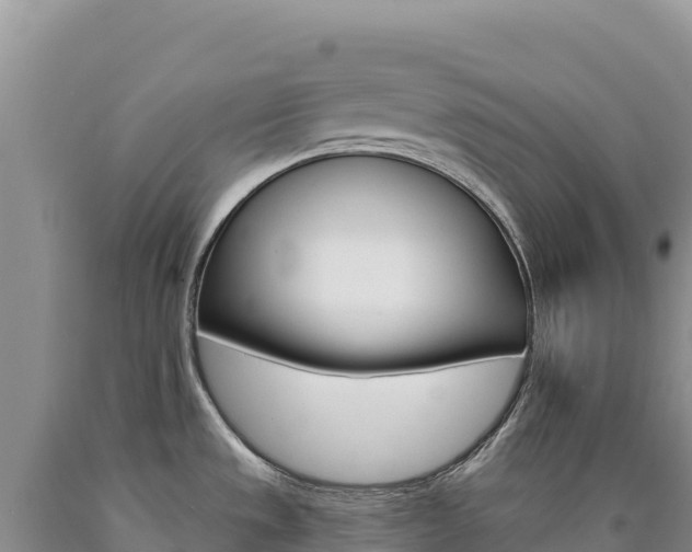 X0000090891533200707271028