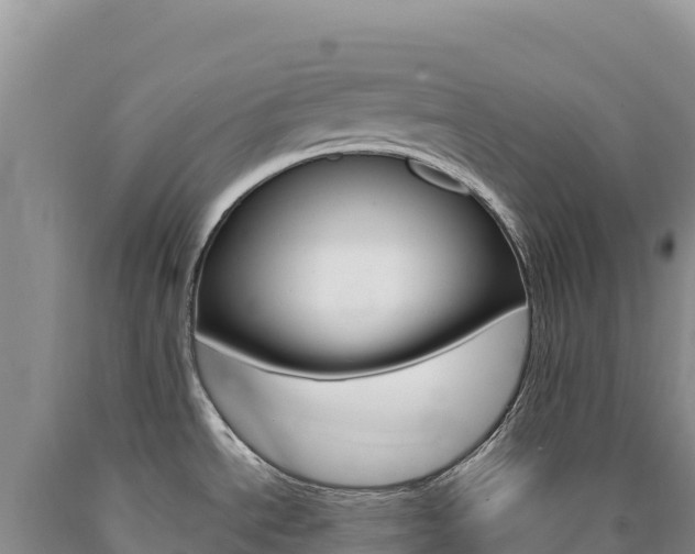 X0000090891534200707271028