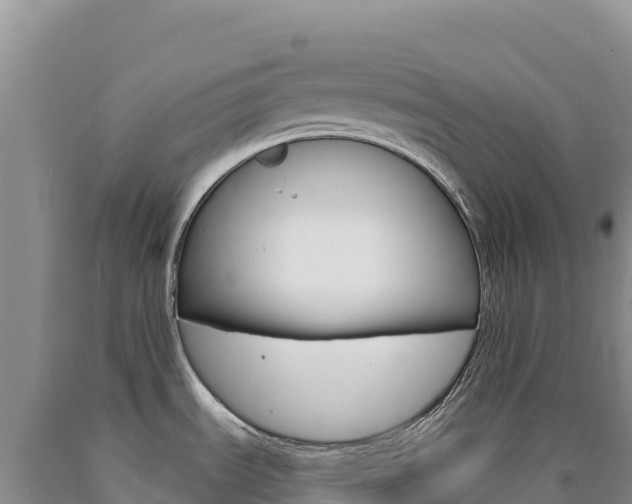 X0000090891535200707271028