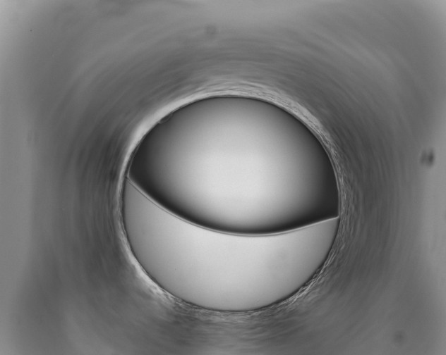 X0000090891536200707271028