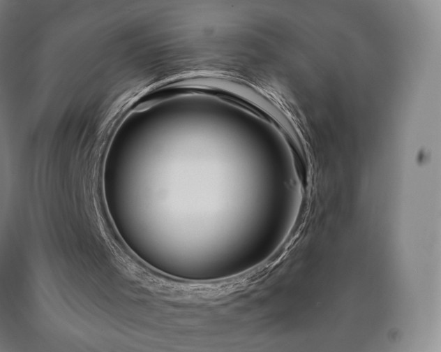 X0000090890001200707271342