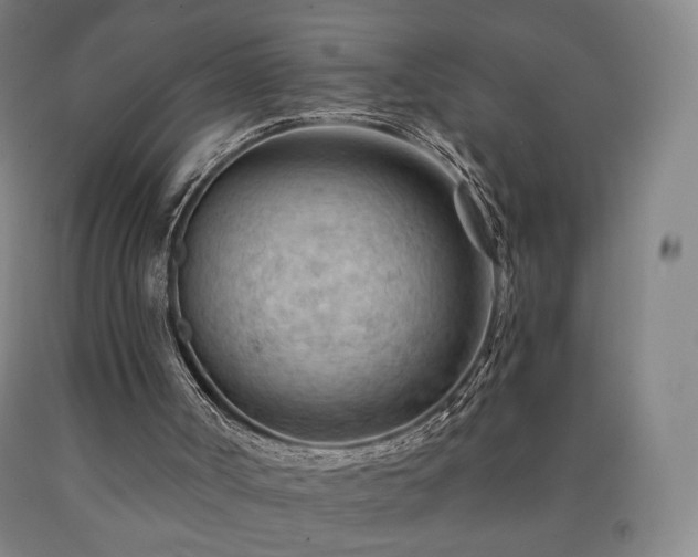 X0000090890002200707271342