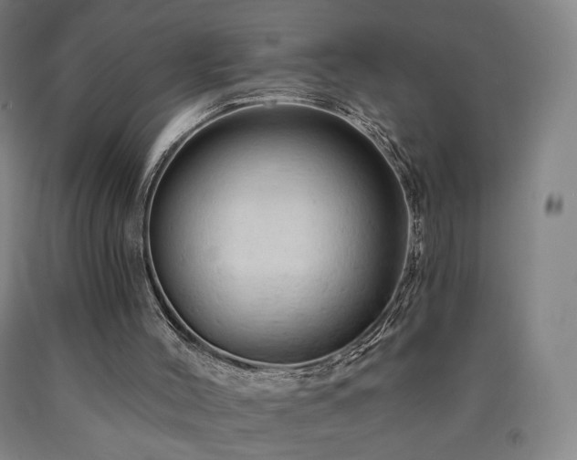 X0000090890004200707271342