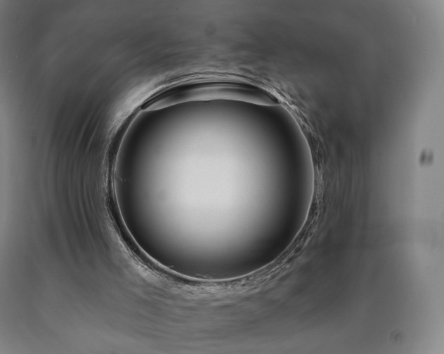 X0000090890005200707271342