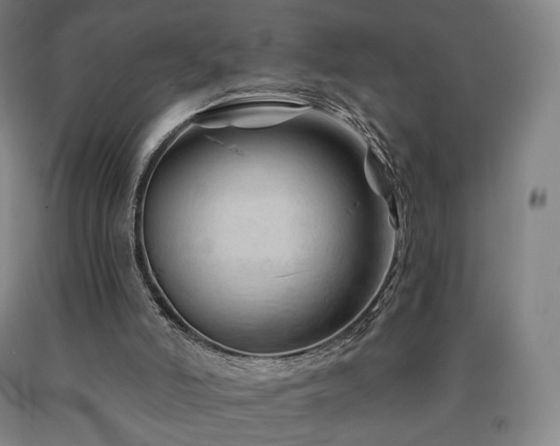 X0000090890006200707271342