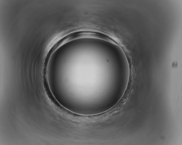 X0000090890007200707271342