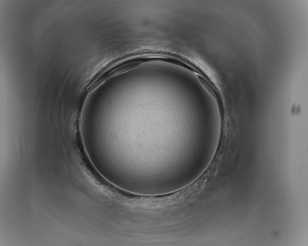 X0000090890009200707271342