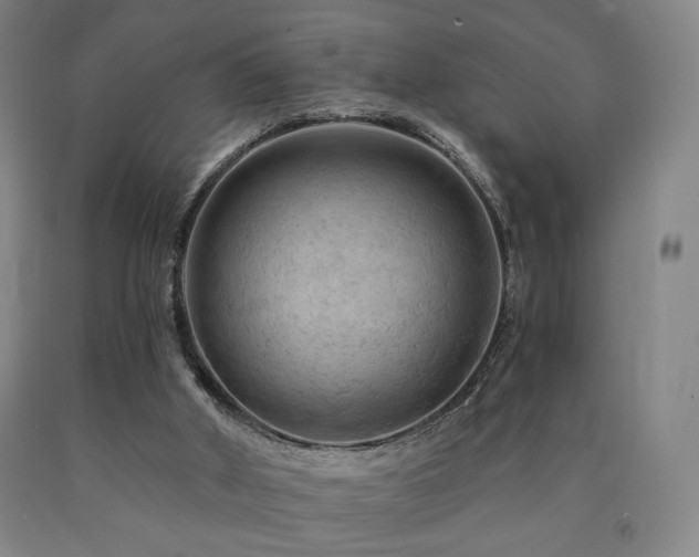 X0000090890010200707271342