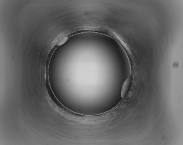 X0000090890011200707271341