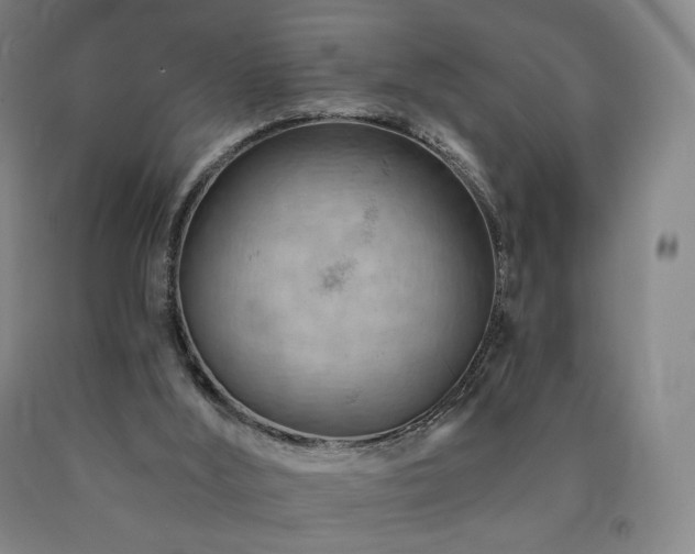 X0000090890012200707271341