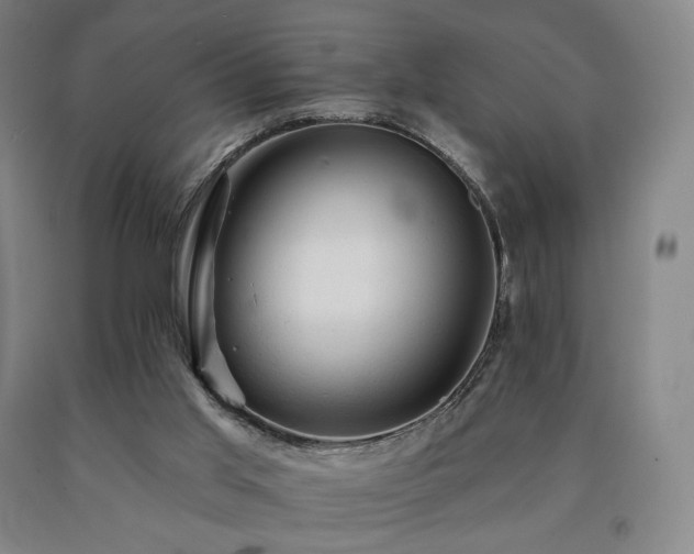 X0000090890013200707271341