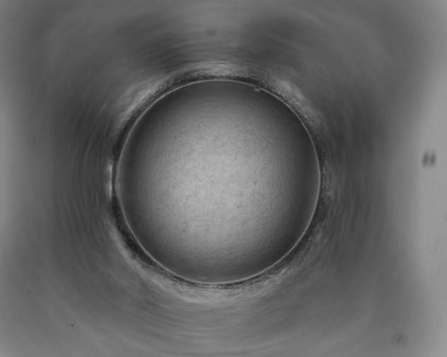 X0000090890014200707271341