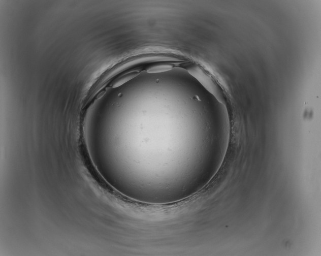 X0000090890015200707271341