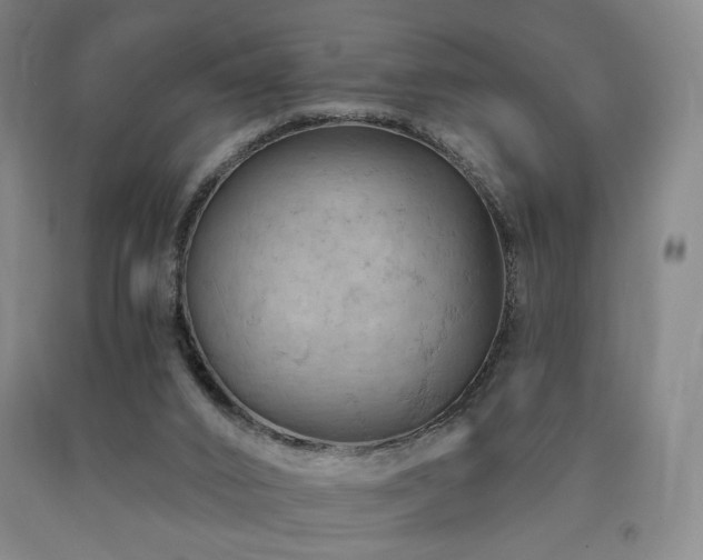 X0000090890016200707271341