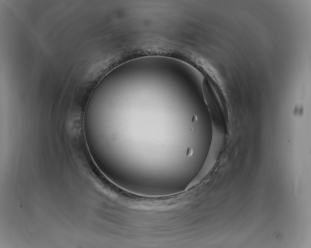 X0000090890017200707271341