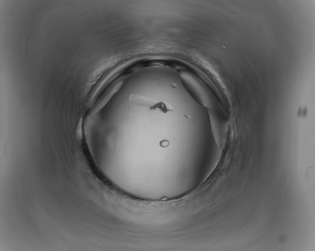 X0000090890019200707271341