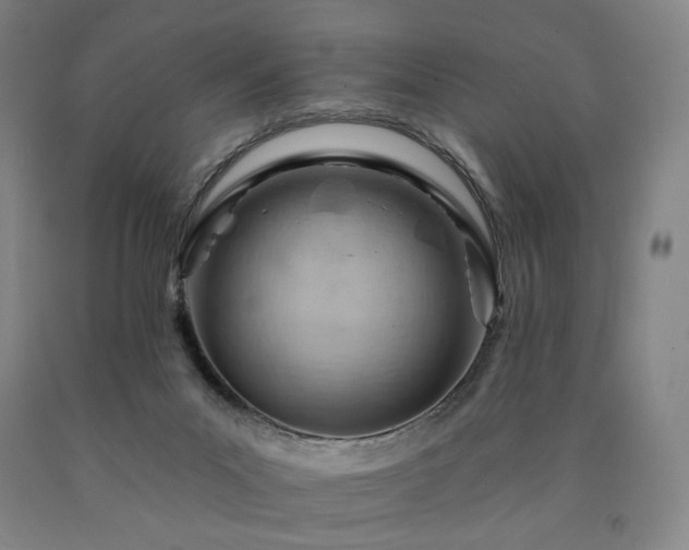 X0000090890023200707271341