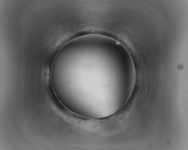 X0000090890024200707271341