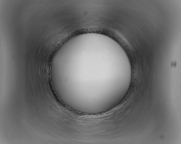 X0000090890025200707271341