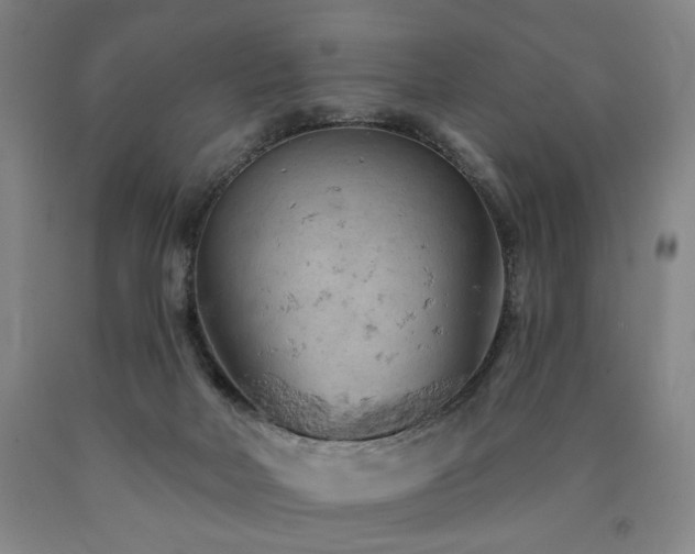 X0000090890026200707271341