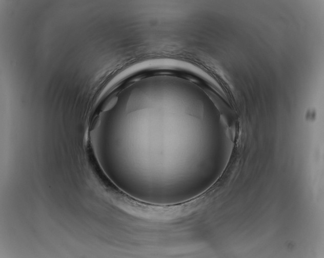 X0000090890027200707271341