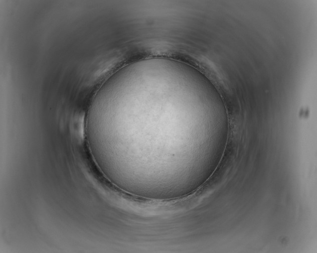 X0000090890028200707271341