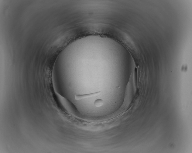 X0000090890029200707271341