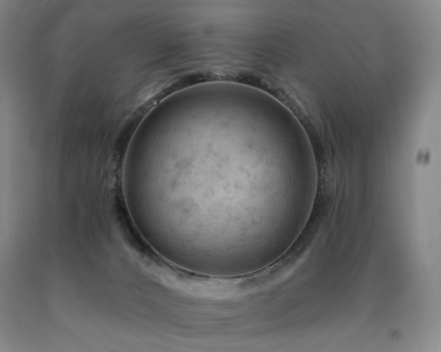 X0000090890032200707271341