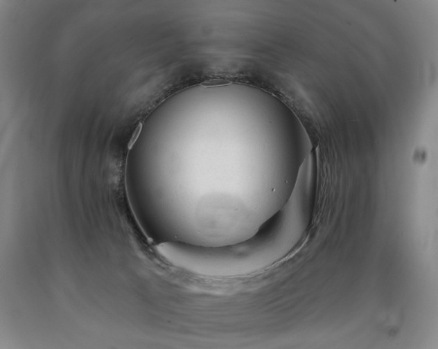 X0000090890033200707271341