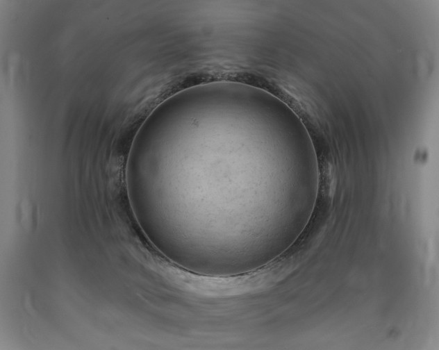 X0000090890034200707271341